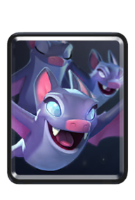 Bats