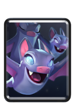 Bats Bats